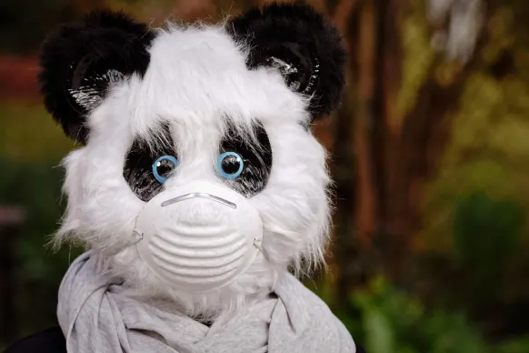 BitReels Kasino Podpora